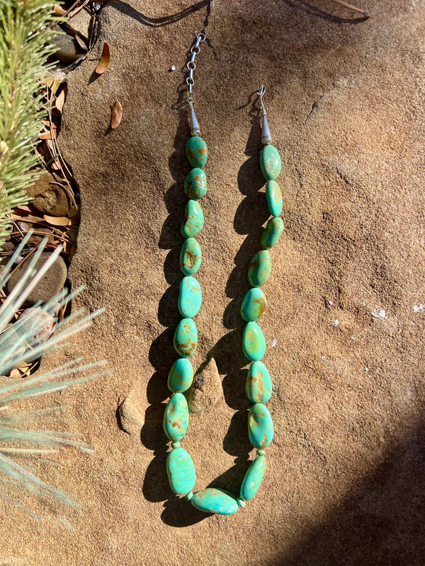 Carico Lake Turquoise Necklace
