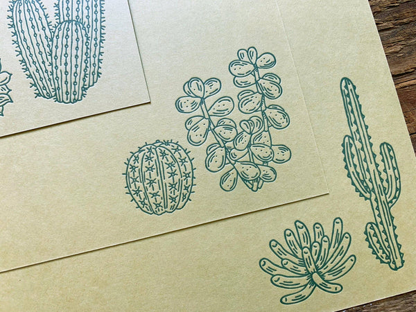Cacti & Succulents Flat Notes (Boxed Set of 8)