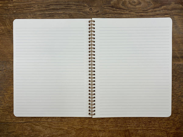 Desert Notebook