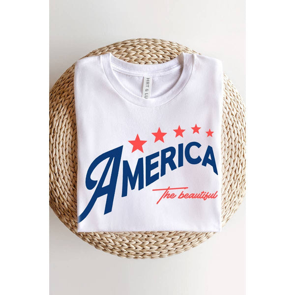 THE BEAUTIFUL AMERICA MINERAL GRAPHIC TEE: Mineral Red / L