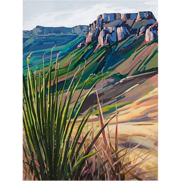 Lost Mine Trail Art Print: 11"x14" (matted to 16"x20")