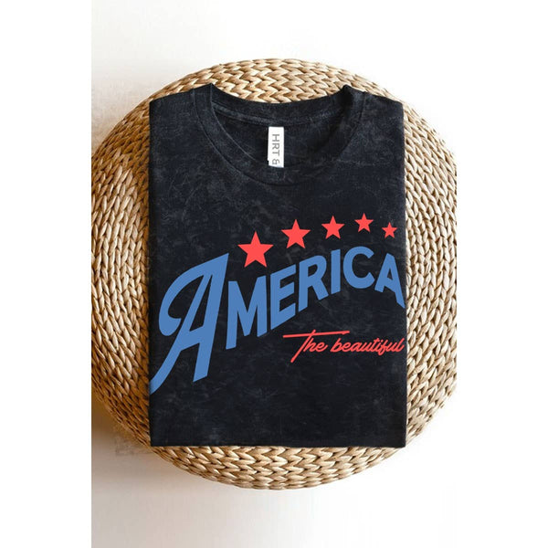 THE BEAUTIFUL AMERICA MINERAL GRAPHIC TEE: Mineral Red / L