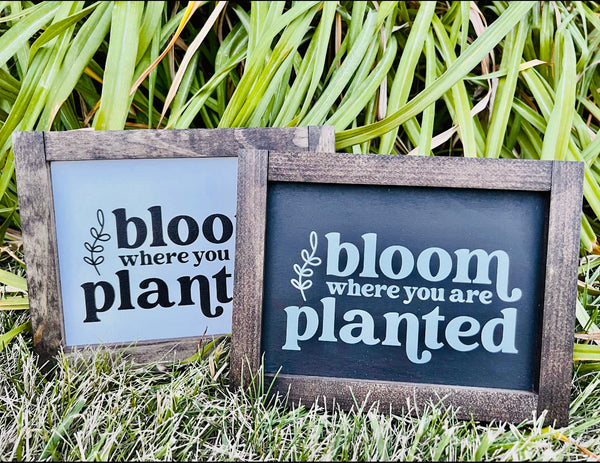Wooden Sign - Bloom where you are planted