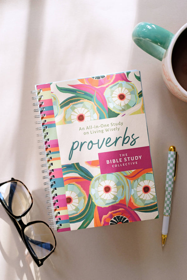 Bible Study Proverbs: An All-in-One Study on Living Wisely