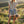 Leopard Print Ribbed Lounge Top & Shorts Set: CREAM COMBO / S