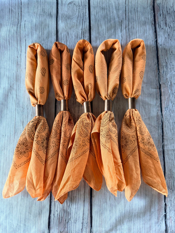Longhorn Orange Bandanas 