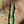 Carico Lake Turquoise Necklace