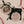 Holy Night Ornament I Christian Faith