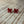 Red Glitter Bow Stud Earrings