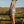 Leopard Print Ribbed Lounge Top & Shorts Set: CREAM COMBO / L