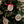 Holy Night Ornament I Christian Faith