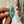 Turquoise Ring - 202601
