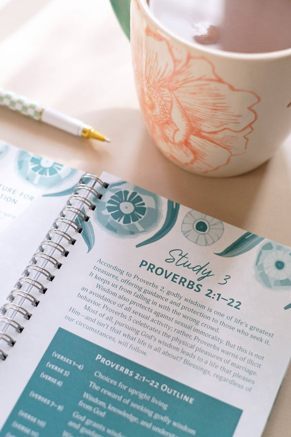 Bible Study Proverbs: An All-in-One Study on Living Wisely