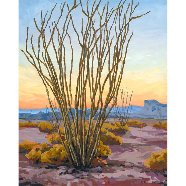 Jigsaw Puzzle - Ocotillo