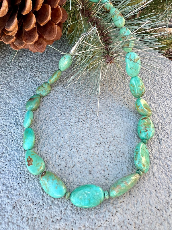 Carico Lake Turquoise Necklace