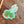 Yucca Sticker