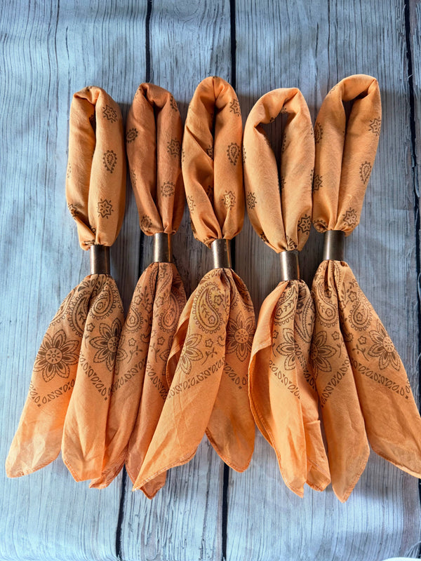 Longhorn Orange Bandanas 