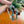 Venti Kingman Turquoise Hoops