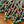 Natural Turquoise Tibetan Silver Cactus Necklace