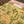 Desert Notebook