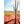 Saguaro Limited Edition Art Print: 11