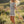Leopard Print Ribbed Lounge Top & Shorts Set: CREAM COMBO / M