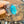 Turquoise Queen Cuff