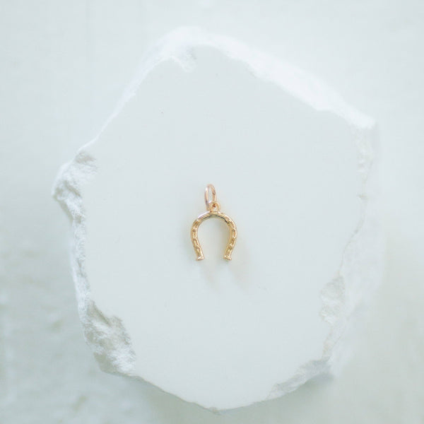 Cowboy Charms: Horseshoe