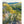 Jigsaw Puzzle - Prickly Pear