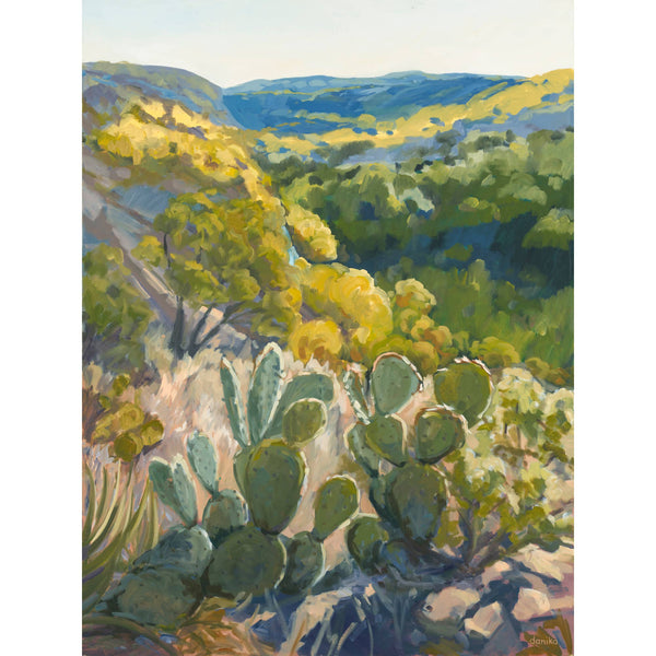 Texas Hill Country Print: 8"x10" (matted to 11"x14")
