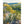Texas Hill Country Print: 11