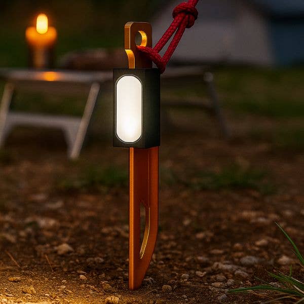 Tent Stakes with Lights, 4-Pack