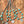 Buffalo Nickel Turquoise Choker: Buffalo facing front