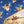 Christmas Baby by Marion  Dane Bauer: Board Books; 34 pages / English