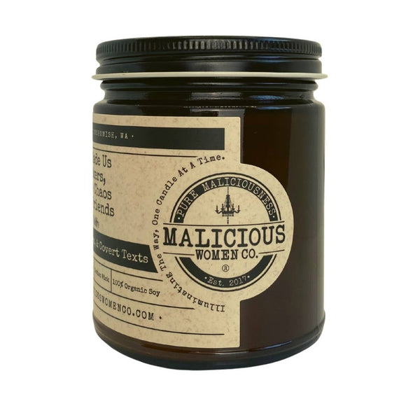 Soy Candle - Chance Made Us Co-workers, Absolute Chaos Made Us Friends