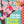 Chicka Chicka Peep Peep by Julien Chung: Hardcover; 40 pages / English