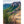 Lost Mine Trail Art Print: 11