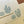 Cacti & Succulents Flat Notes (Boxed Set of 8)