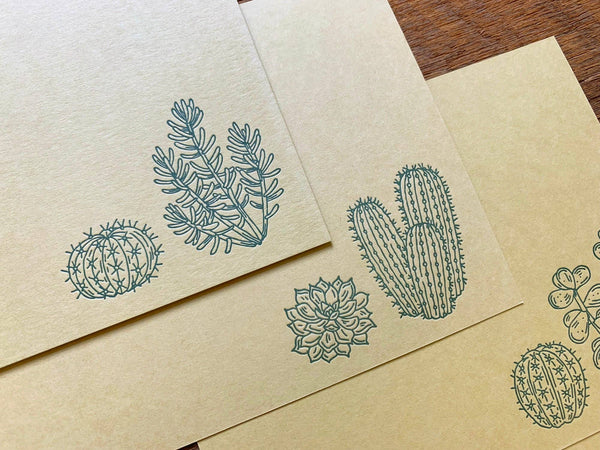 Cacti & Succulents Flat Notes (Boxed Set of 8)