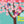Chicka Chicka Peep Peep by Julien Chung: Hardcover; 40 pages / English
