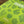Cactus Weekly Fill-In Planner