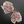 Western Paisley Claw Clip Hair Bow Bandana Print: Red