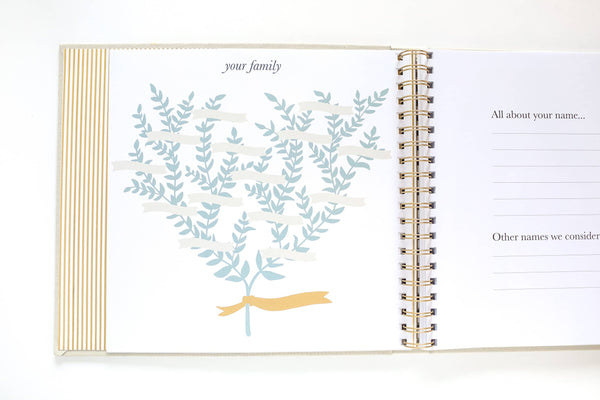 Baby - A Memory Book
