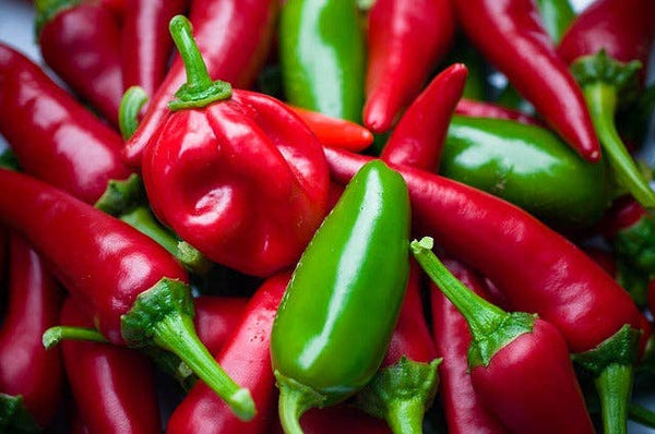 New Mexico Red Chile Olive Oil: 375ml | 12.68oz