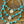 Buffalo Nickel Turquoise Choker: Buffalo facing front
