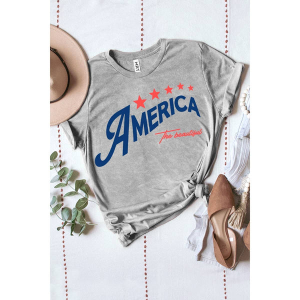 THE BEAUTIFUL AMERICA MINERAL GRAPHIC TEE: Mineral Red / L