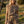 Leopard Print Ribbed Lounge Top & Shorts Set: CREAM COMBO / L