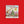 Construction Site: Merry and Bright