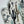 Cotton Oven Mitt - Southwest Roadrunner Saguaros -Cool SW