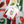 New Mexico Chile Tea Towel